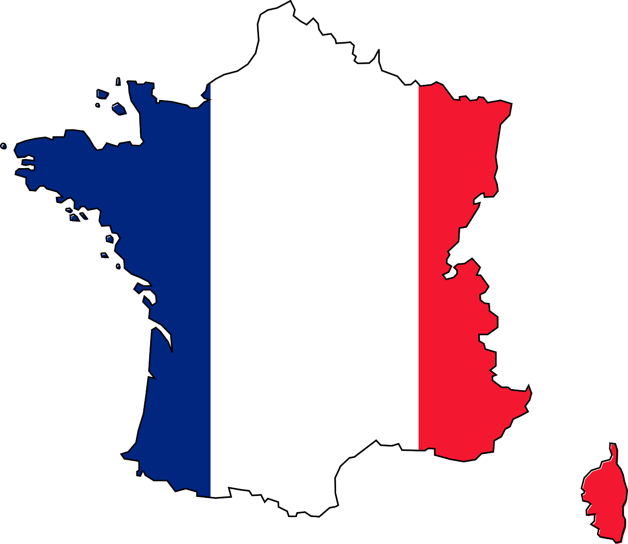 Specialized in the French market